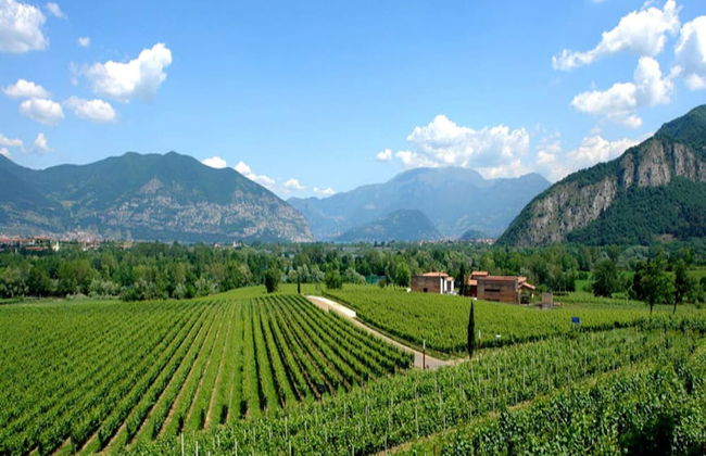 Luxurious Villa in Lombardy with Garden & Hot Tub - Foto 39