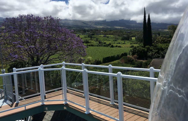 Hale Kiana - Foto 19