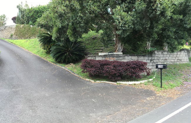 Hale Kiana - Foto 26