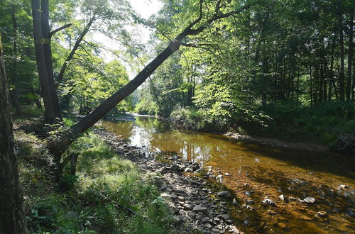 Photo 35 - Summerfield Cottage at Sleepy Creek