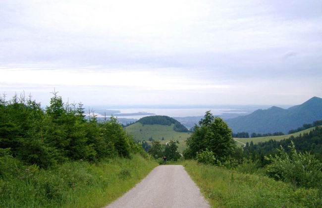 Cozy Holiday Home in Feldwies near Ski Area - Foto 22