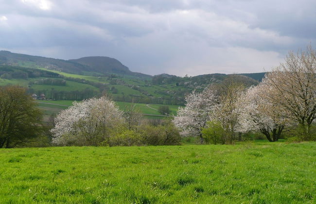 Natur-blockhaus in Waltershausen - Foto 14