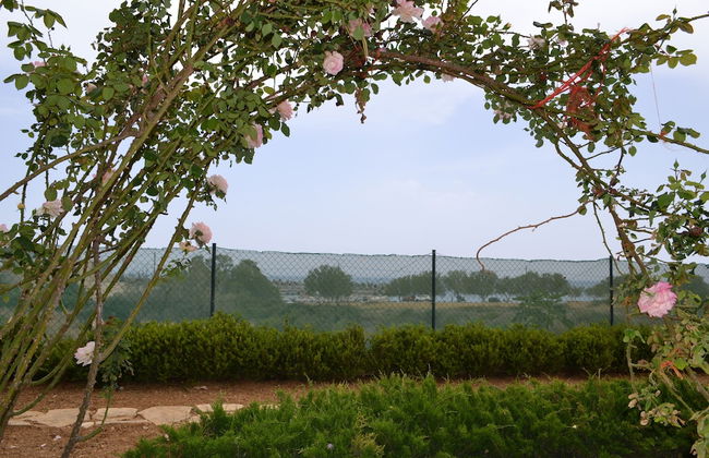 Villa Elena - Foto 37