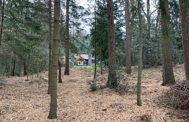 Landgoed De Heezeberg - Foto 22
