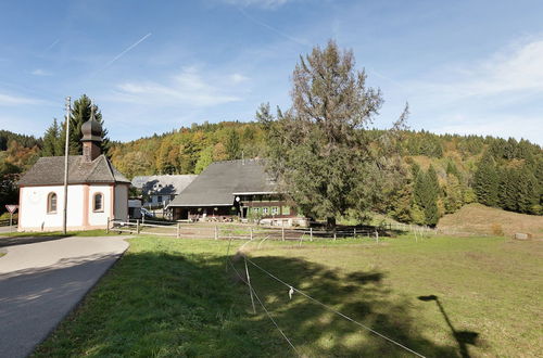 Photo 25 - Apartment Near the Feldberg ski Area