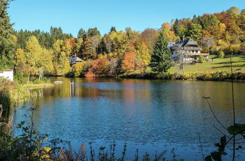 Photo 26 - Apartment Near the Feldberg ski Area