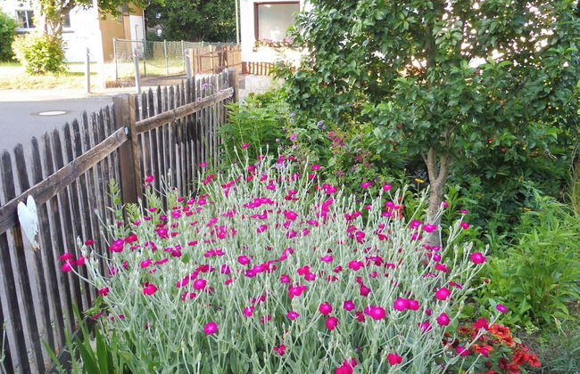 Spacious Apartment in Pracht near Forest - Photo 24