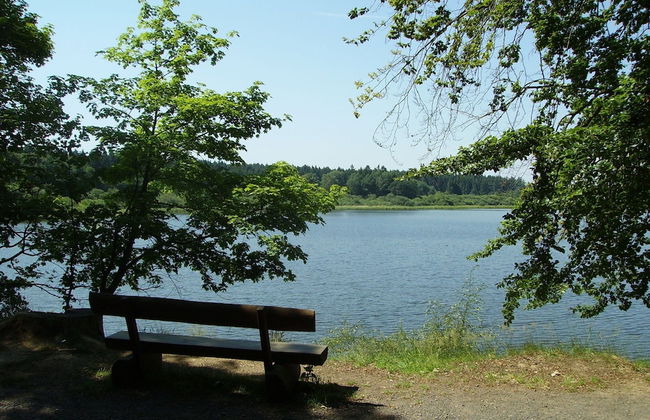Spacious Apartment in Pracht near Forest - Photo 29