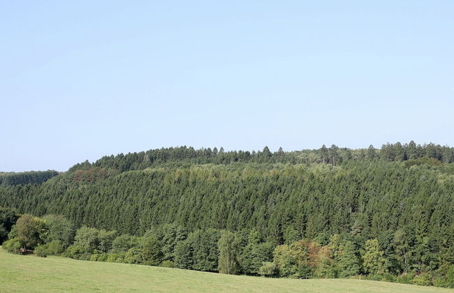 Spacious Apartment in Pracht near Forest - Photo 27