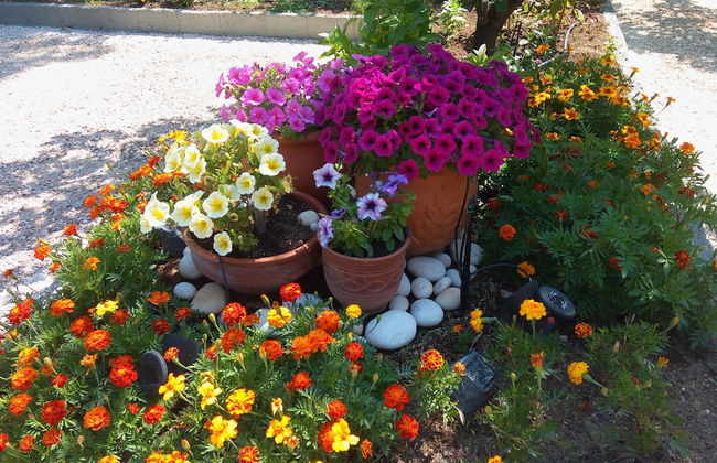 Casa Della Felicitá - Foto 18