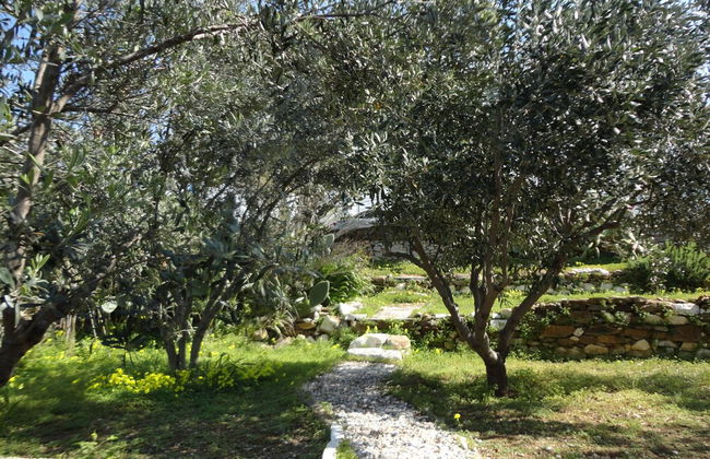 Meltemi Studios and Apartments - Photo 11