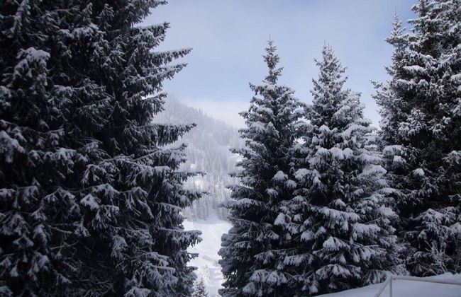 Shymbulak Resort House - Foto 68