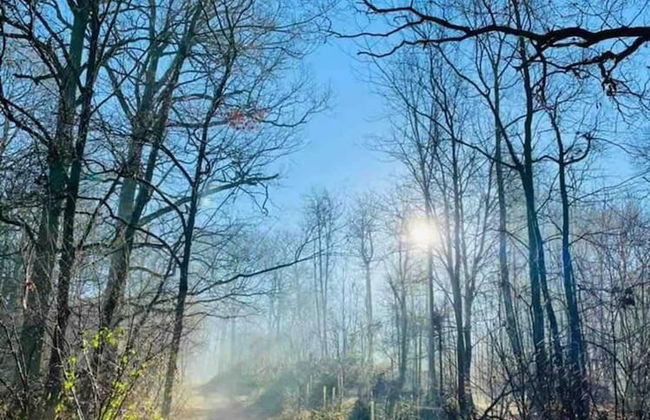 Cottage in Area of Outstanding Natural Beauty - Foto 71