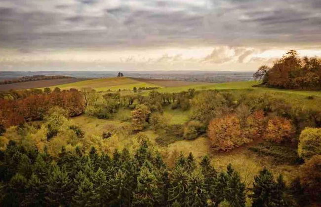 Cottage in Area of Outstanding Natural Beauty - Foto 52