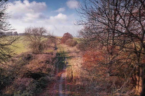 Photo 39 - Cottage in Area of Outstanding Natural Beauty