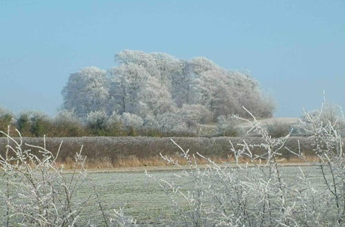 Foto 43 - Cottage in Area of Outstanding Natural Beauty