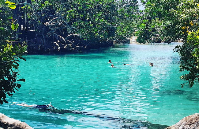Whispering Palms Vanuatu - Photo 26