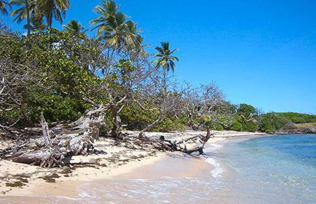 Le Paradis de l'Anse - Foto 31