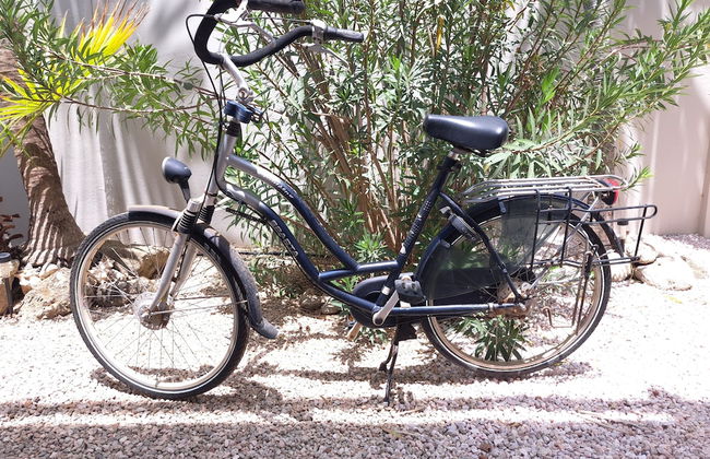 BnBBonaire - Photo 67