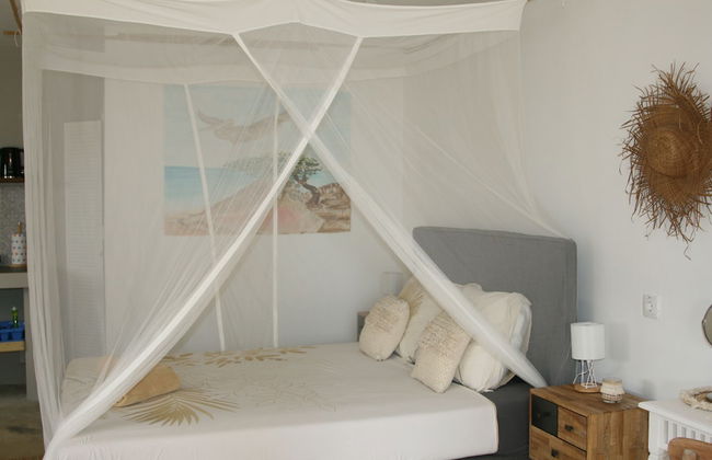 BnBBonaire - Photo 36