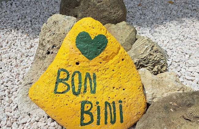 BnBBonaire - Photo 72