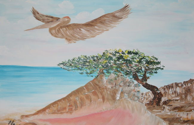 BnBBonaire - Photo 13