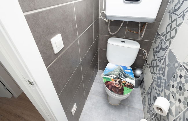 APARTAMENTOS VAQUERS MIKKA 3000 - Foto 40