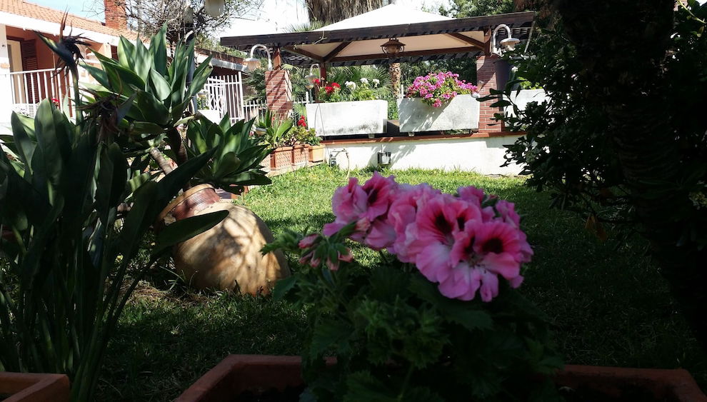 Villa in Palermo with swimming pool and garden - Photo 1