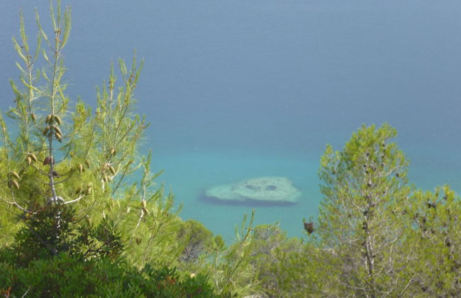 Villa With Private Beach - Foto 23