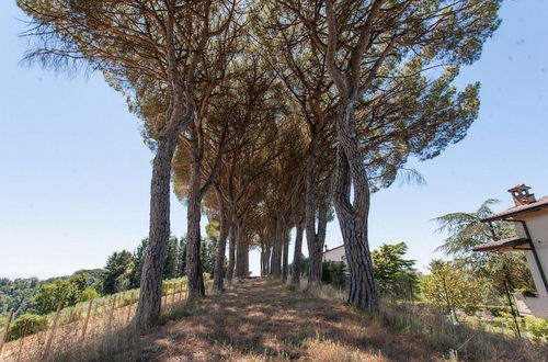 Photo 32 - Podere Caldaruccio La Pineta - Torretta