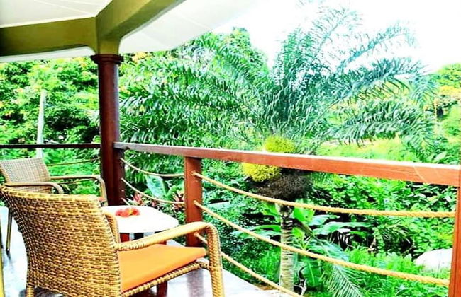 La Nature Apartments - Foto 5