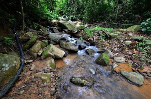 Photo 45 - Tanarimba Bentong