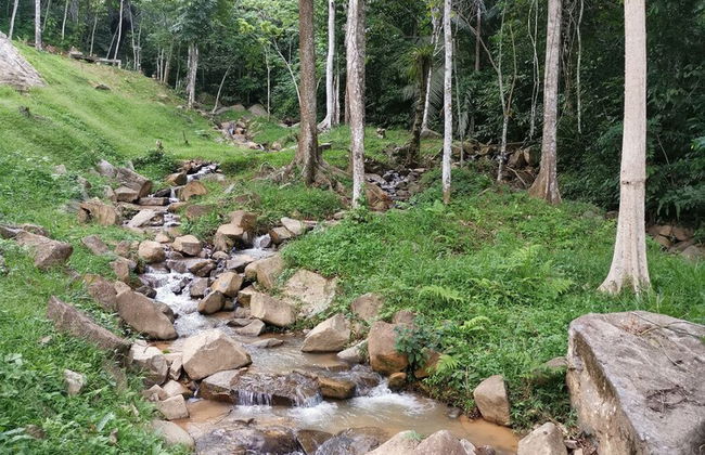 Tanarimba Bentong - Foto 42