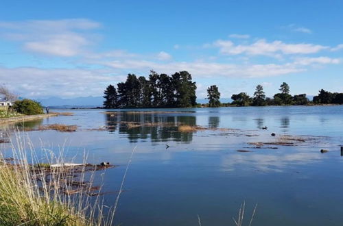 Photo 60 - Tahuna Beach Holiday Park