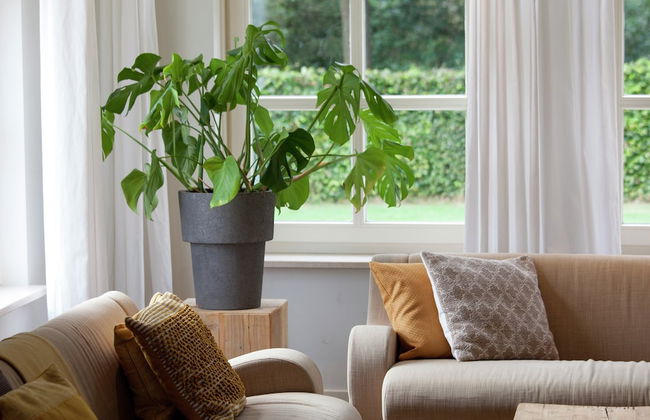 Stylish Holiday Home in Leende With Terrace - Photo 7