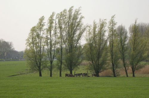 Foto 41 - Quaint Farmhouse near River in Oosterwijk