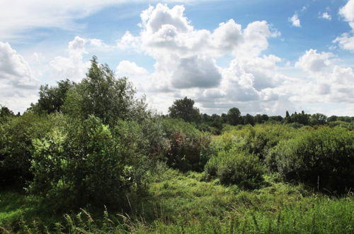 Photo 47 - Quaint Farmhouse near River in Oosterwijk