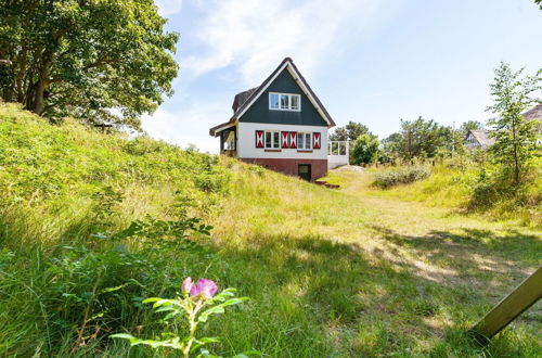 Photo 42 - Beautiful Dune Villa With Thatched Roof on Ameland, 800 Meters From the Beach