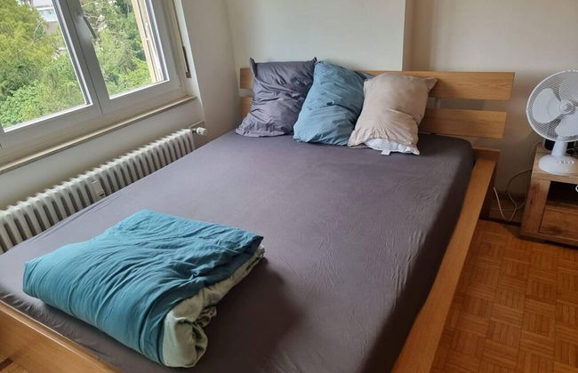 Stunning 3-bed Apartment in Basel - Foto 9