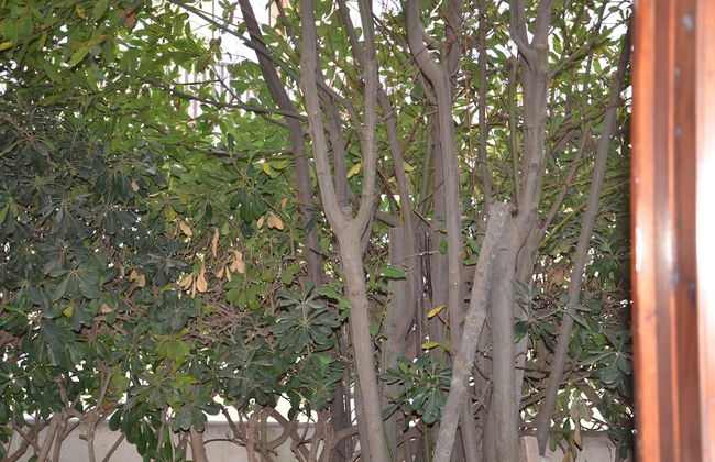 FANTASTIC SARDINIA VILLETTE CON GIARDINO Fronte Mare Fertilia FAHO-GAV01-GAV02 - Foto 35