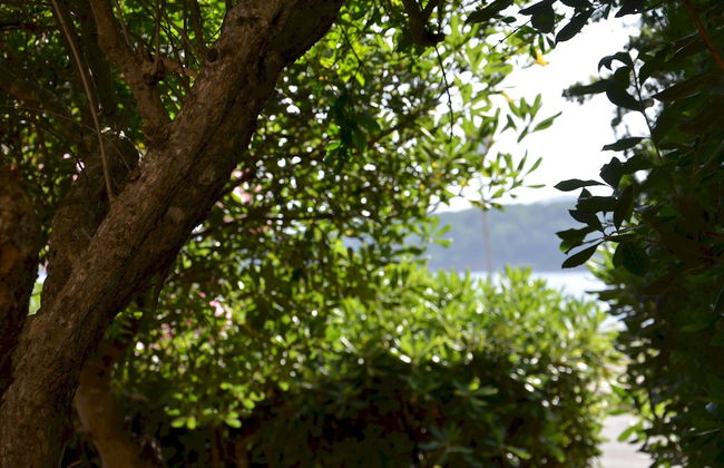 FANTASTIC SARDINIA VILLETTE CON GIARDINO Fronte Mare Fertilia FAHO-GAV01-GAV02 - Foto 125