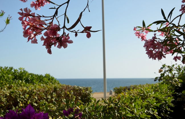 FANTASTIC SARDINIA VILLETTE CON GIARDINO Fronte Mare Fertilia FAHO-GAV01-GAV02 - Foto 129