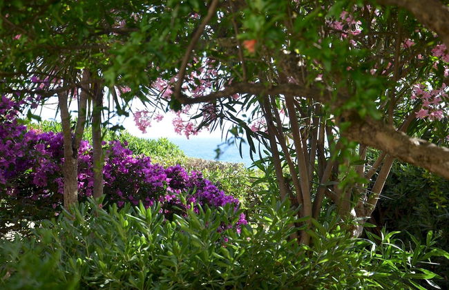 FANTASTIC SARDINIA VILLETTE CON GIARDINO Fronte Mare Fertilia FAHO-GAV01-GAV02 - Foto 123