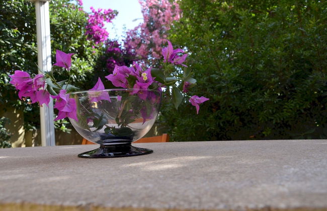 FANTASTIC SARDINIA VILLETTE CON GIARDINO Fronte Mare Fertilia FAHO-GAV01-GAV02 - Foto 133