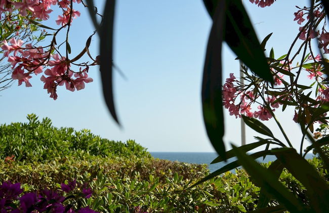 FANTASTIC SARDINIA VILLETTE CON GIARDINO Fronte Mare Fertilia FAHO-GAV01-GAV02 - Foto 139