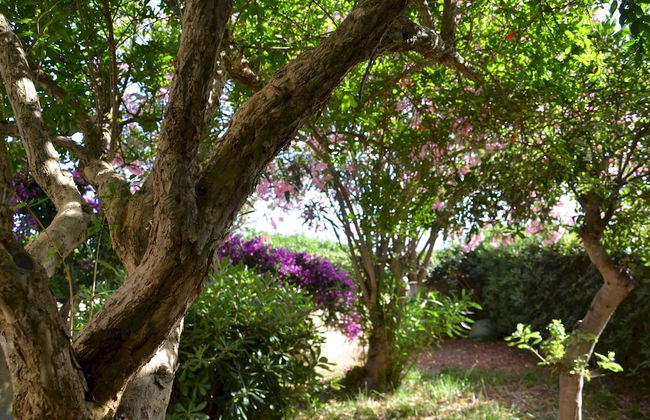 FANTASTIC SARDINIA VILLETTE CON GIARDINO Fronte Mare Fertilia FAHO-GAV01-GAV02 - Foto 113