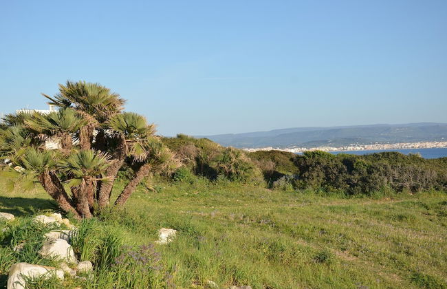 FANTASTIC SARDINIA VILLETTE CON GIARDINO Fronte Mare Fertilia FAHO-GAV01-GAV02 - Foto 99