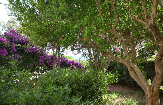 FANTASTIC SARDINIA VILLETTE CON GIARDINO Fronte Mare Fertilia FAHO-GAV01-GAV02 - Foto 121