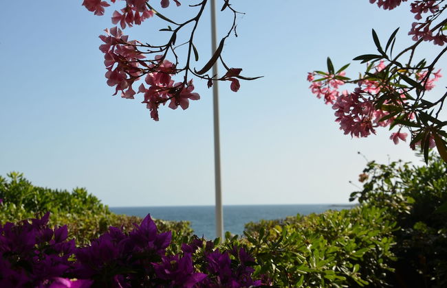 FANTASTIC SARDINIA VILLETTE CON GIARDINO Fronte Mare Fertilia FAHO-GAV01-GAV02 - Foto 127