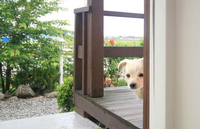 Ciel Pension - Photo 40